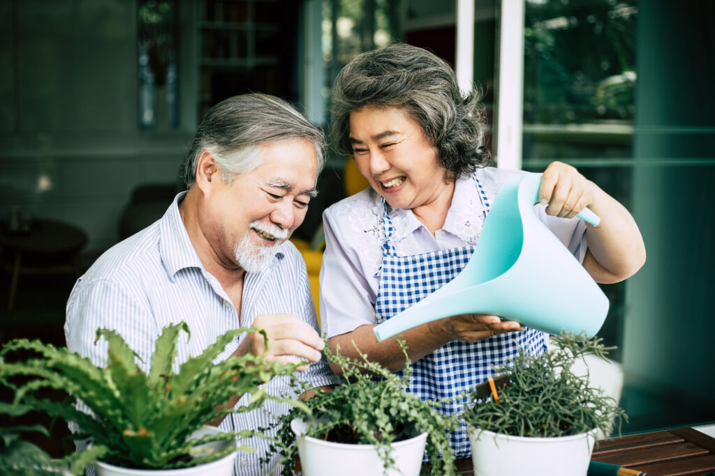Older couple watering plants together at home