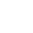 Security Analytics