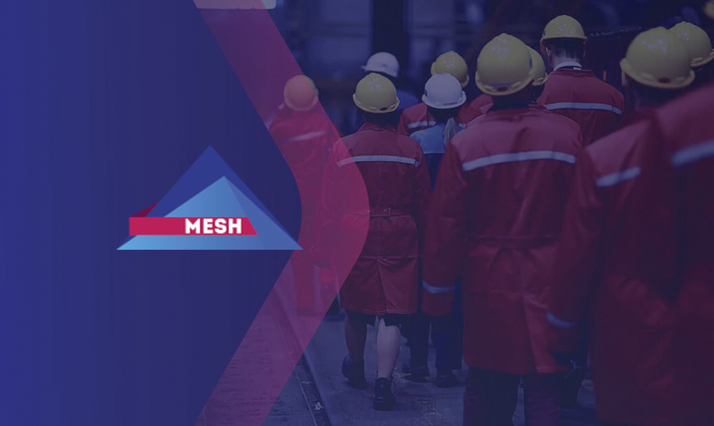 MESH Consultancy Gets Staff in Line With TimeTec TA